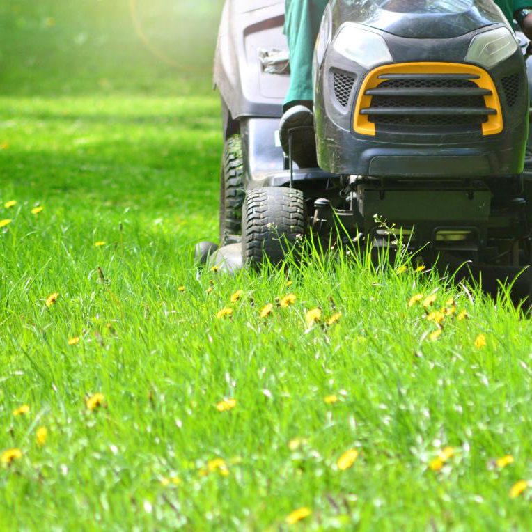 Industrial stand-up lawn mower cutting a freshly mowed lawn