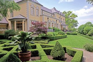 Well-trimmed hedges and trees for summer maintenance