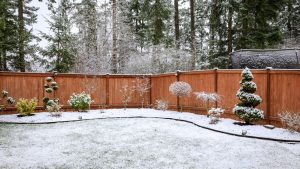 Yard with plants covered in snow