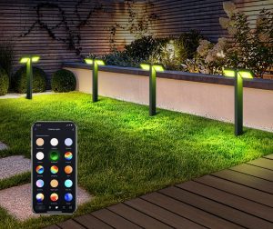 App-controlled LED lighting for backyard