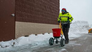 Roseview Landscaping team member spreading salt to de-ice office property walkways.
