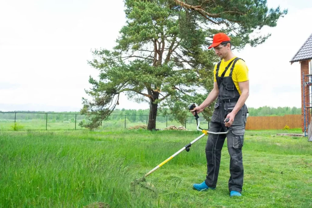 Professional lawn care technician applying targeted treatment to a lawn with visible spring weeds Professional spring lawn weeds Ontario control service by Roseview Landscaping