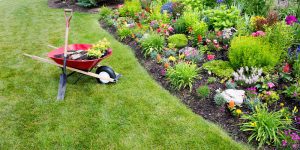 Shovel and wheelbarrow in yard for spring cleanup and preparation