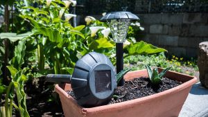 Solar-powered yard lighting