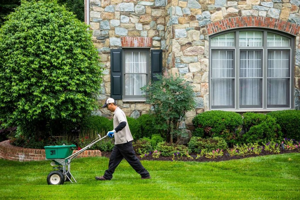 professional lawn care avoiding wet grass mowing dangers with proper timing