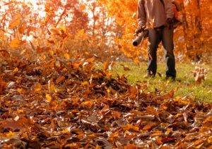 Leaf-blowing pile of fallen leaves
