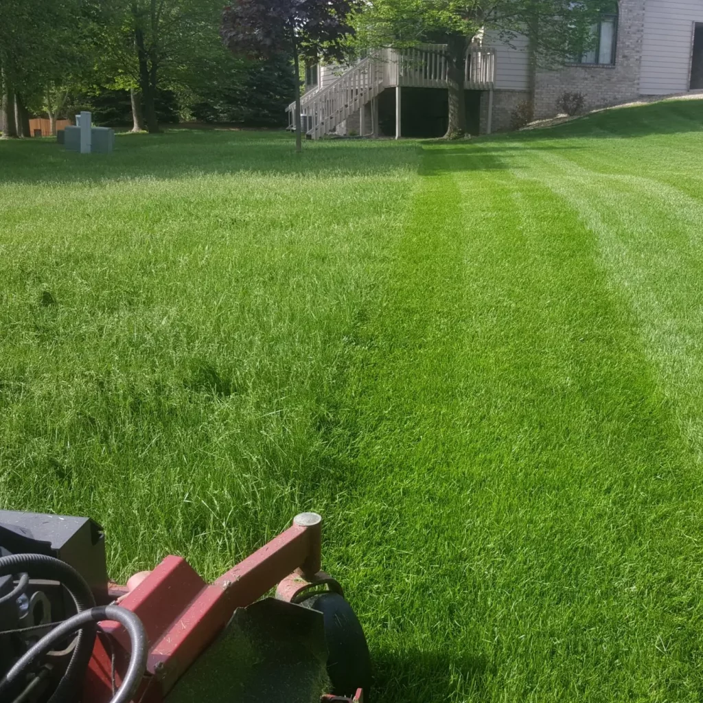 GTA lawn care services fertilization results showing thick green grass