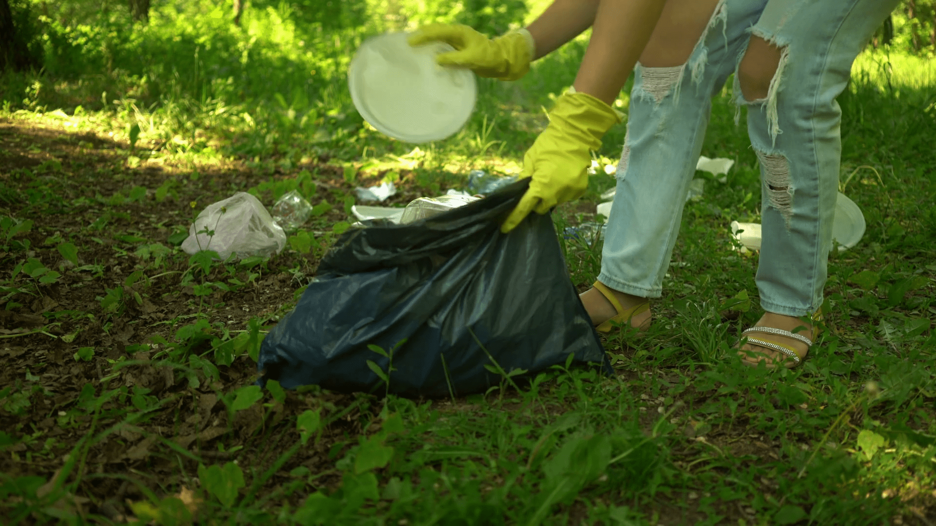 Person picking up litter and placing it into a garbage bag during a community clean-up. Person picking up litter and placing it into a garbage bag during a community clean-up.