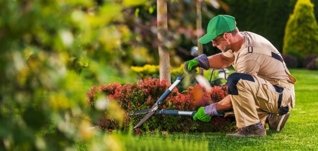 Caucasian Garden and Landscaping Services Contractor landscaping services