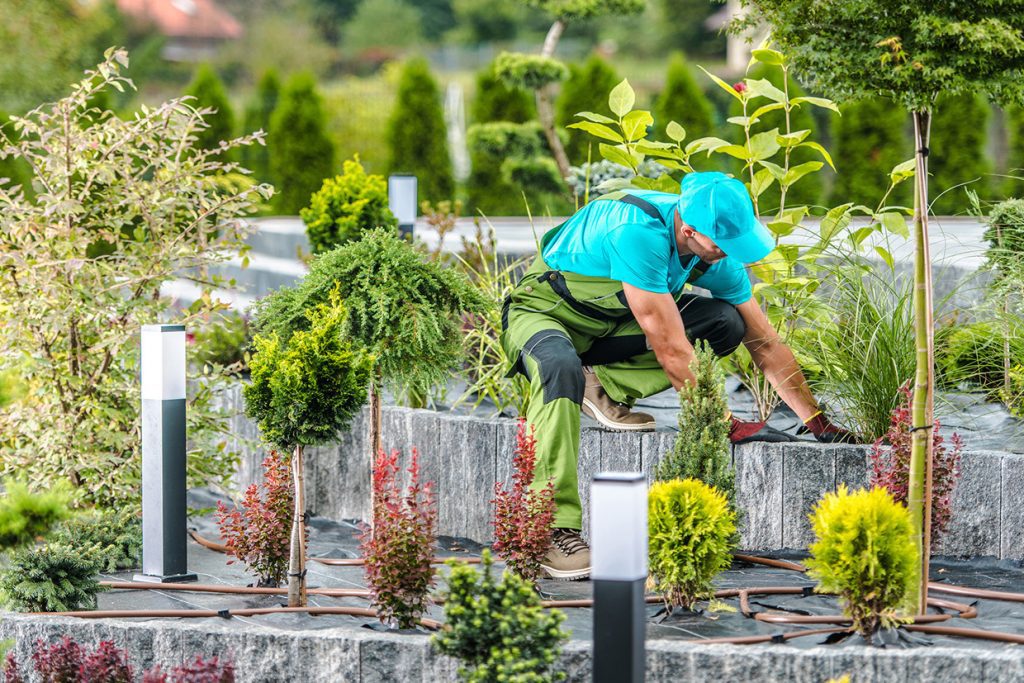 landscaping services