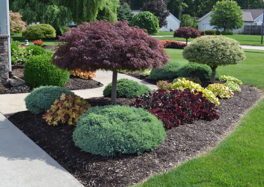 landscape design ideas