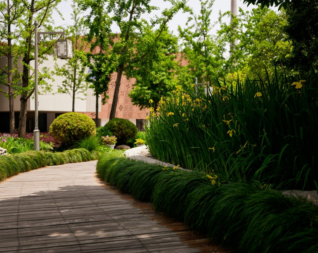 landscsaping