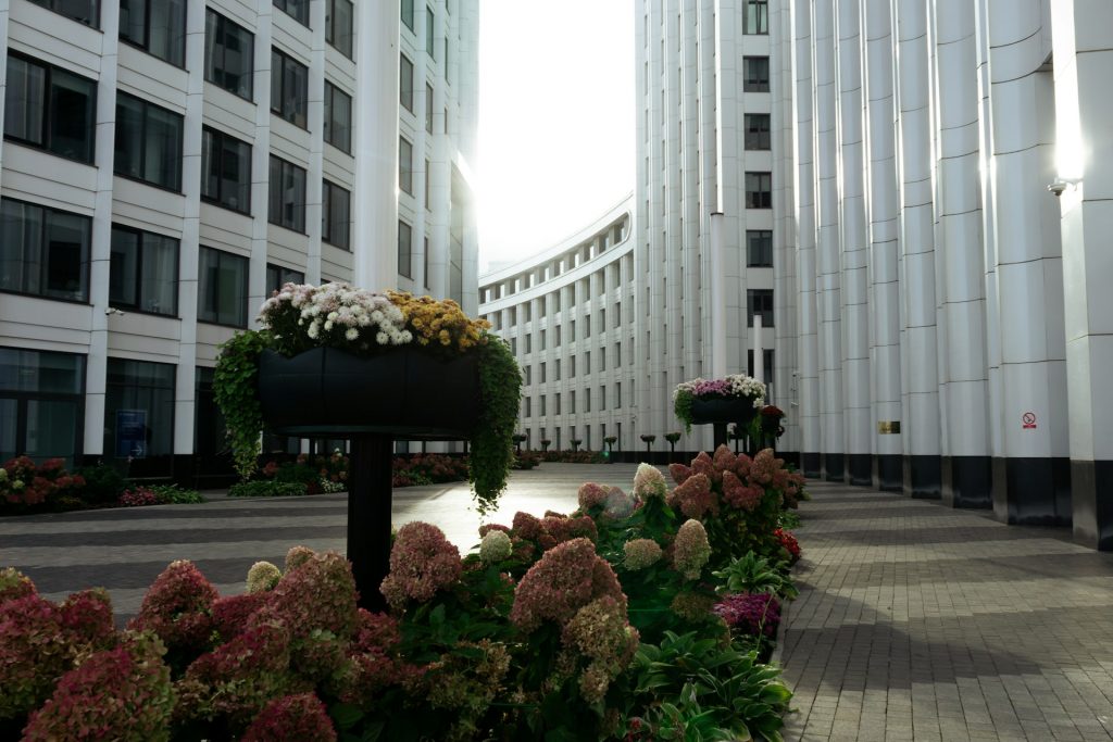 commercial landscaping
