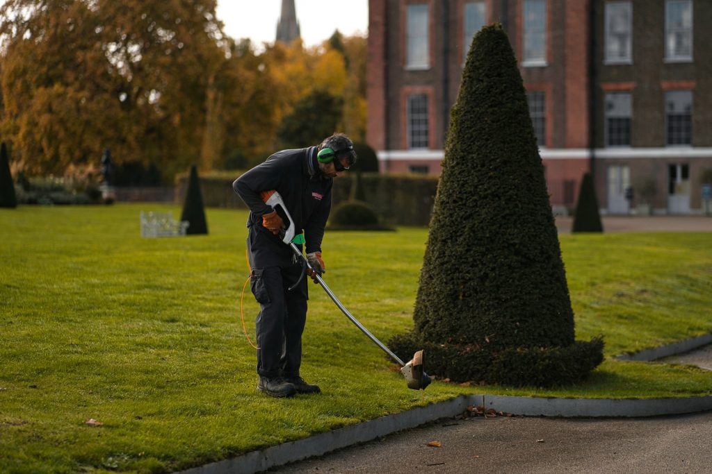 commercial landscaping service